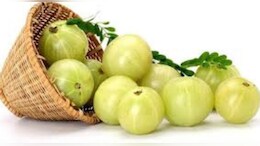 इम्यून सिस्टम बूस्ट कर रोगों से छुटकारा देता है आंवला, ये बीमार&zwj;ियां होंगी दूर