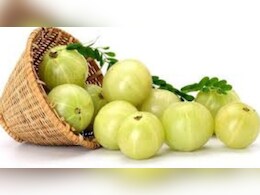 इम्यून सिस्टम बूस्ट कर रोगों से छुटकारा देता है आंवला, ये बीमार‍ियां होंगी दूर