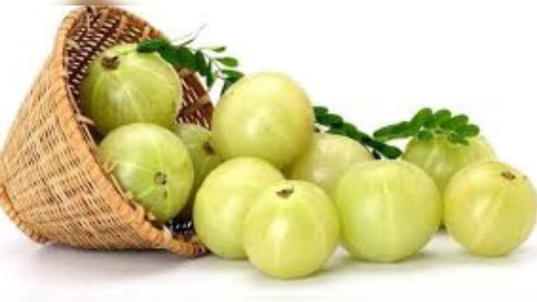 इम्यून सिस्टम बूस्ट कर रोगों से छुटकारा देता है आंवला, ये बीमार‍ियां होंगी दूर
