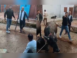 दबंगों ने बुजुर्ग को बेरहमी से पीटा, सिर फोड़ा... बहू ने वीडियो बनाकर बचाया, 3 आरोपी गिरफ्तार