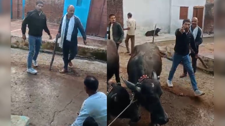 दबंगों ने बुजुर्ग को बेरहमी से पीटा, सिर फोड़ा... बहू ने वीडियो बनाकर बचाया, 3 आरोपी गिरफ्तार