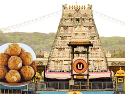 "Propaganda": YSRCP Attacks TDP After 'Clean Chit' In Tirupati Laddoo Row