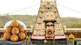 "Propaganda": YSRCP Attacks TDP After 'Clean Chit' In Tirupati Laddoo Row