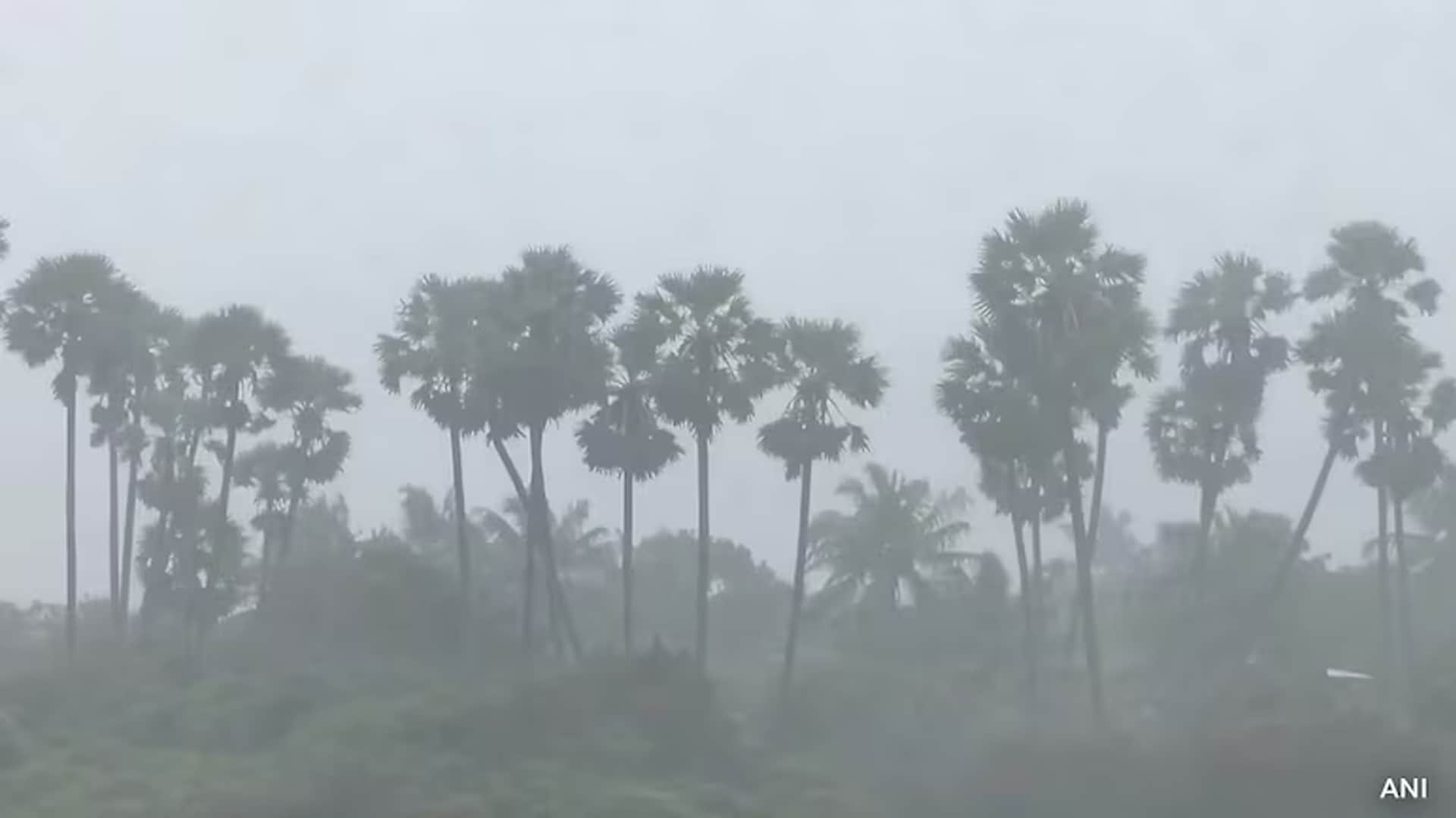Red Alert In Tamil Nadu, Andhra, Puducherry As Cyclone Ditwah Inches Closer