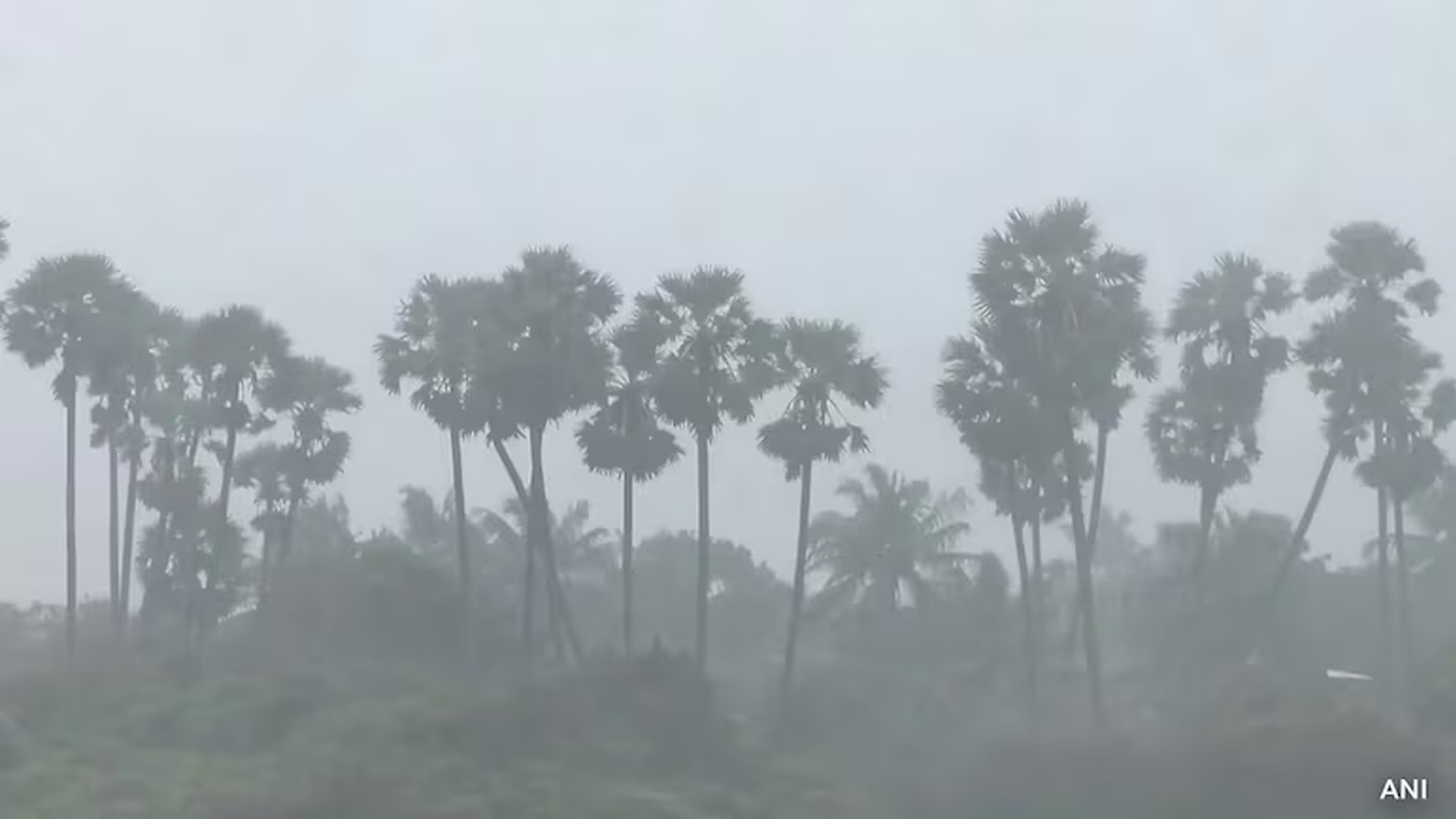 Red Alert In Tamil Nadu, Andhra, Puducherry As Cyclone Ditwah Inches Closer