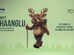 In Bid To Revive Tourism, Srinagar Hosts 3-Day Convention Ahead Of Snowfall