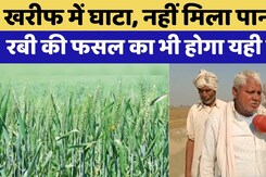 Dholpur News: Rabi Crops  से होगा फायदा या होगा नुकसान  |  Rajasthan Top News | Viral Video