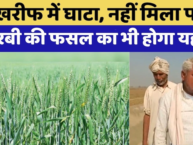 Dholpur News: Rabi Crops  से होगा फायदा या होगा नुकसान  |  Rajasthan Top News | Viral Video