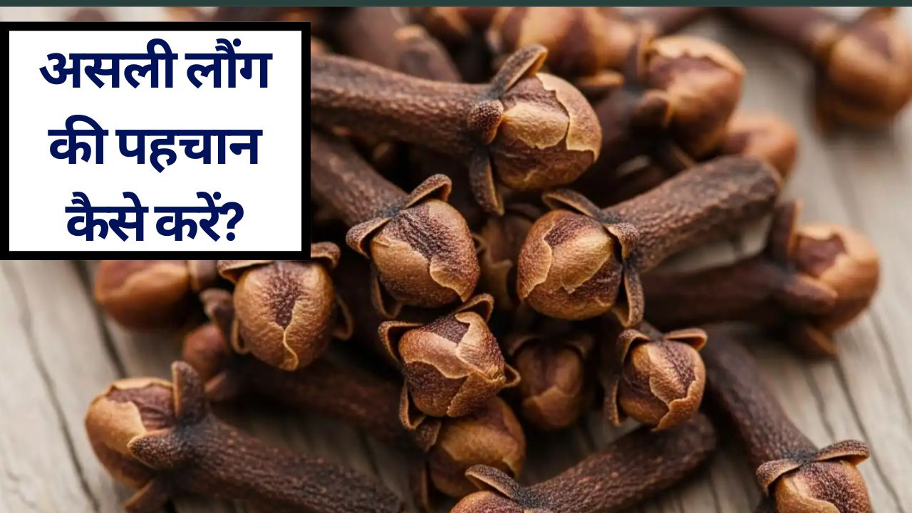 नकली लौंग खाने से होते हैं गंभीर नुकसान, Liver हो सकता है डैमेज! FSSAI ने बताया 1 म‍िनट में कैसे पता करें लौंग असली है या नकली