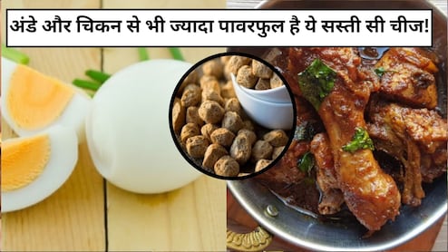 अंडे और चिकन से भी ज्यादा पावरफुल है ये सस्ती सी चीज, जानें फायदे और सेवन का तरीका