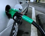 Will E20 Petrol Damage Older Vehicles? Govt Shares Data To Refute Claims