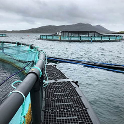 Garware Technical Fibres Q2 Results Review - Margins Expected To Improve From H2 FY23: ICICI Direct