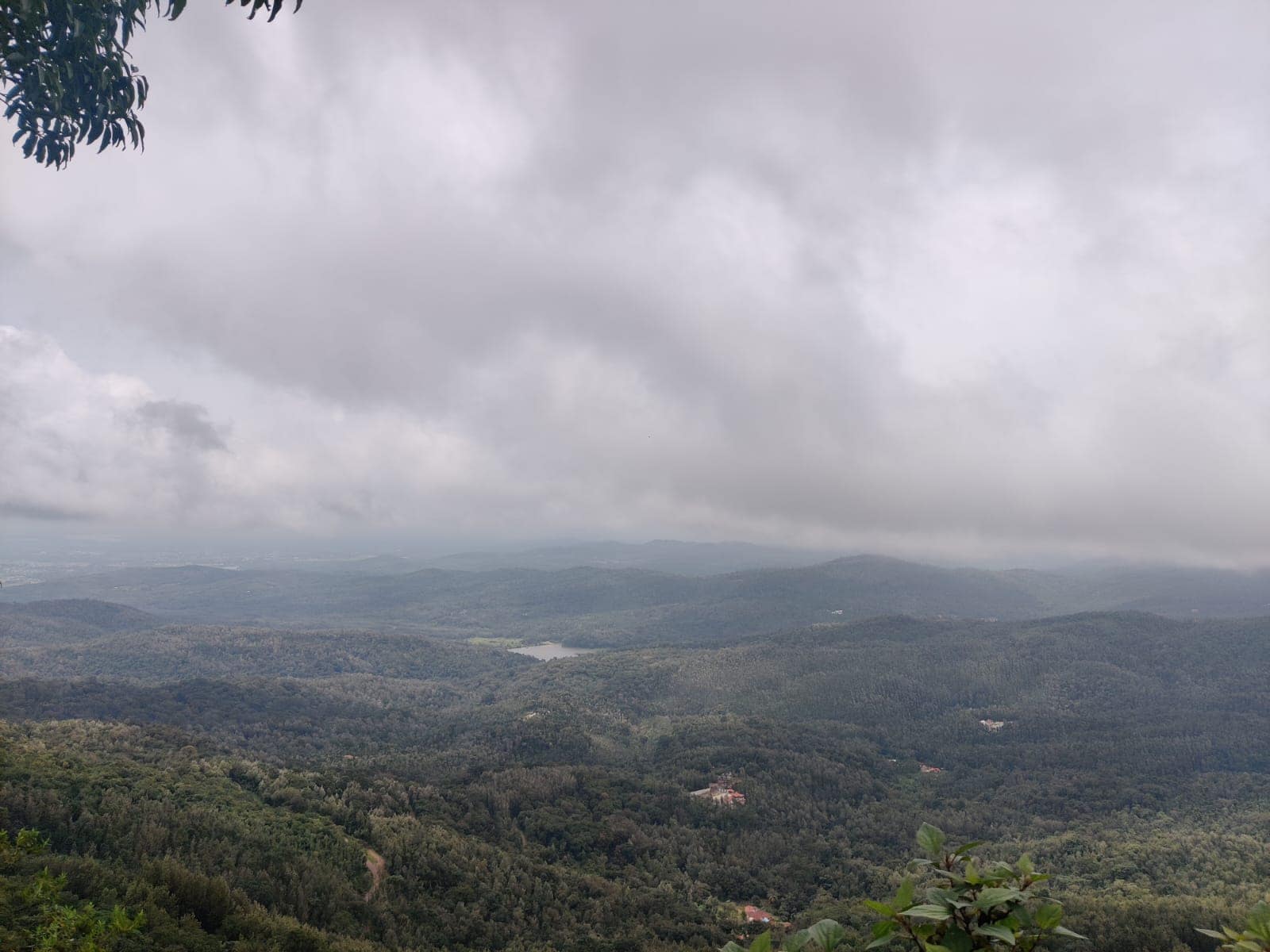 IMD Weather Update: Heavy Rainfall Predicted In These States For Next Few Days; Check Details Here