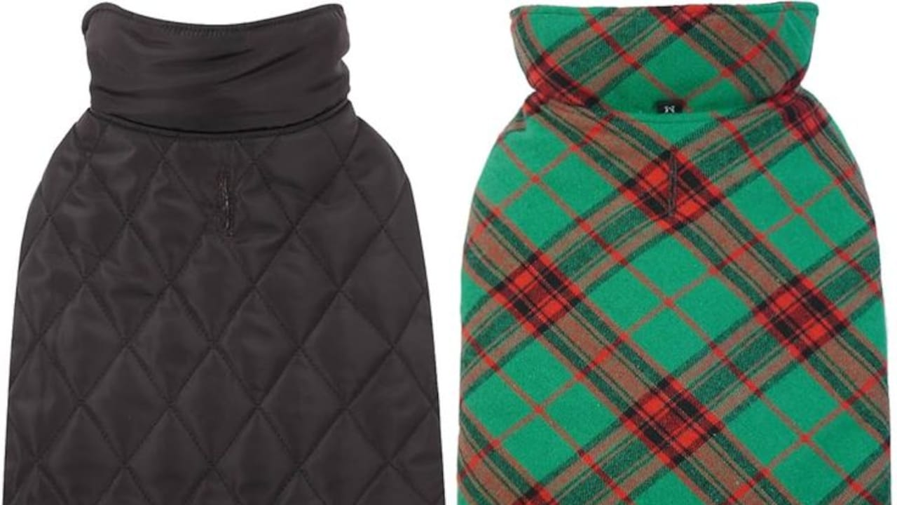 Explore winter jackets for German Shepherd dogs to keep your pet warm during cold weather