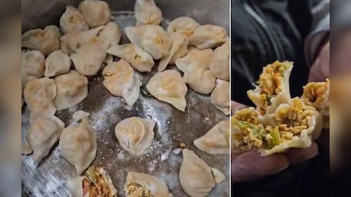 Momos की दीवानगी कर रही बीमार! जानें क्या है इसकी वजह; 10 साल में तेजी से क्यों फैला ये कारोबार