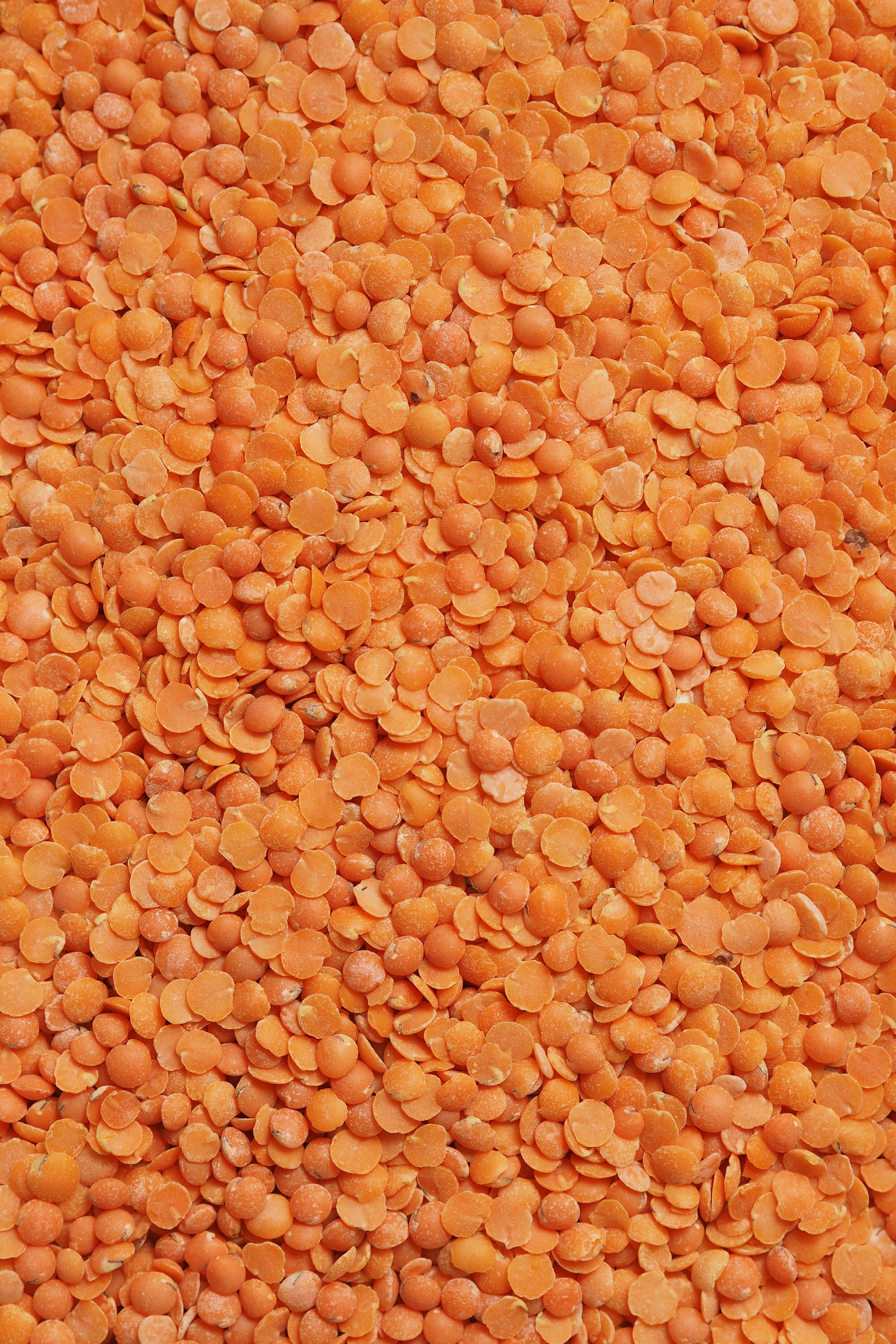 All Masur, Urad, Tur Dal Grown To Be Bought From Farmers Via e-Samriddhi Platform