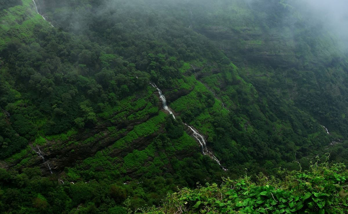 Latest and Breaking News on NDTV Latest and Breaking News on NDTV