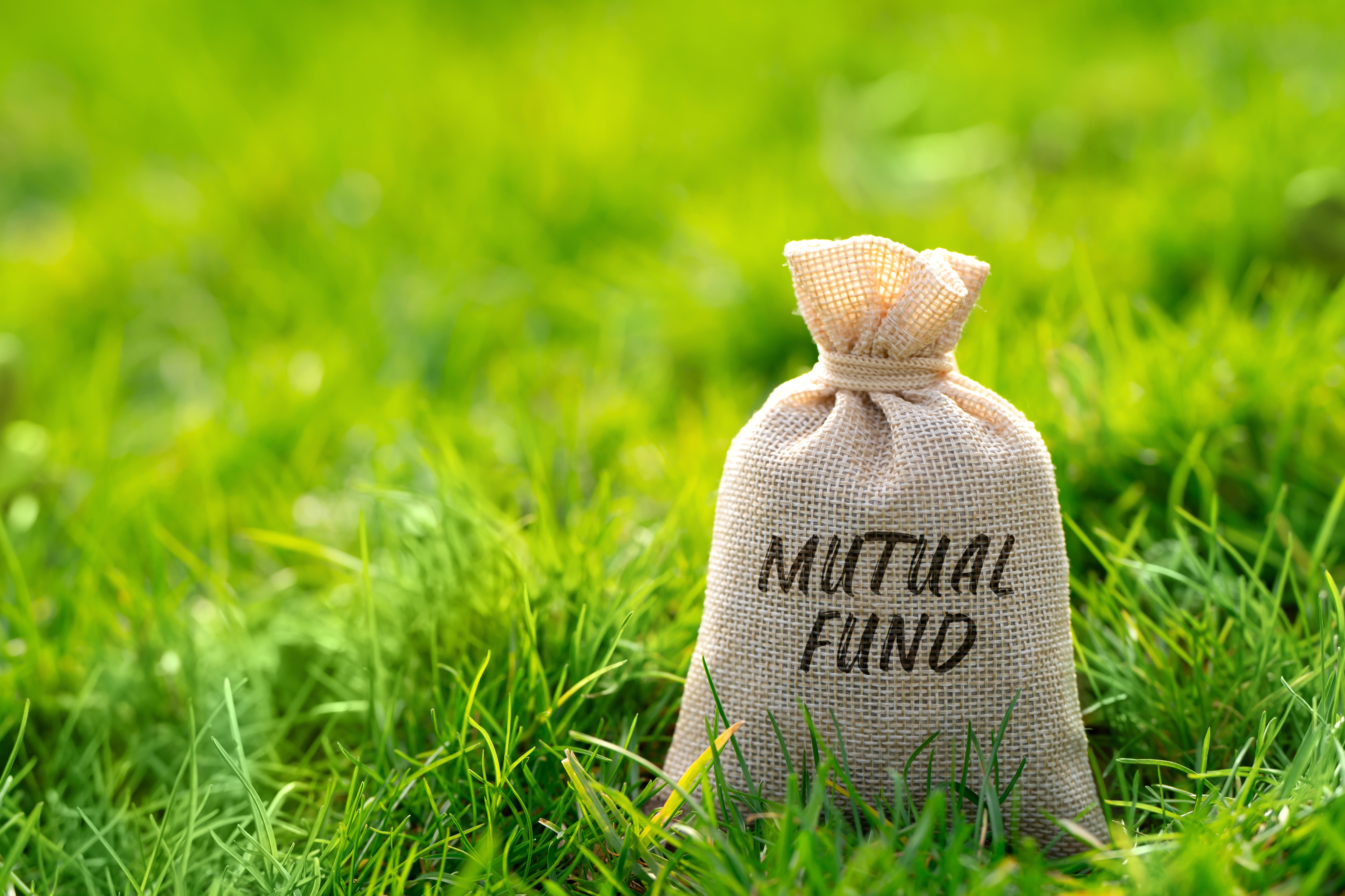 AMFI In Talks With Fintechs To Conduct Stress Tests Across MF Schemes, Says Chief Chalasni