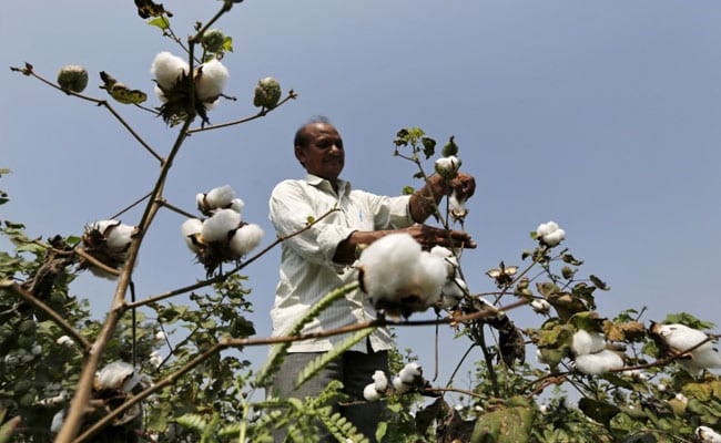 To Boost Textile Industry, Government Waives Customs Duty On Cotton Imports Till September 30