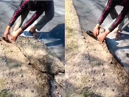 मध्य प्रदेश में चादर की तरह फोल्ड हो गई सड़क, लोगों ने पकड़ लिया माथा, सांसद ने उठाया मुद्दा तो शुरू हुई जांच