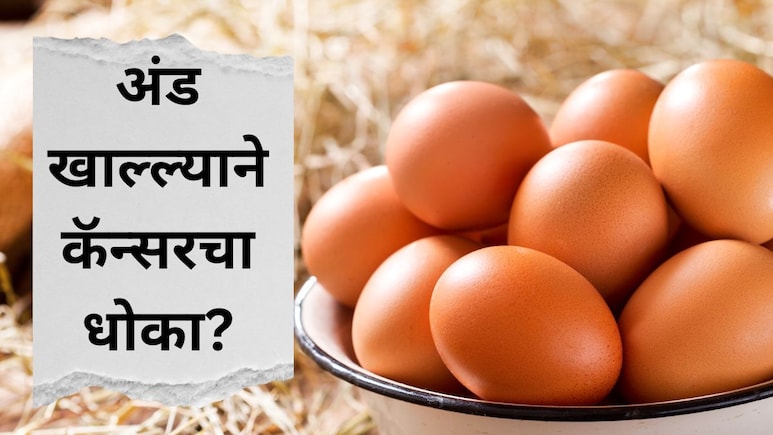 Egg Side Effects : अंडे खाल्ल्याने कॅन्सरचा धोका? काय आहे सत्य? FSSAI चं स्पष्टीकरण