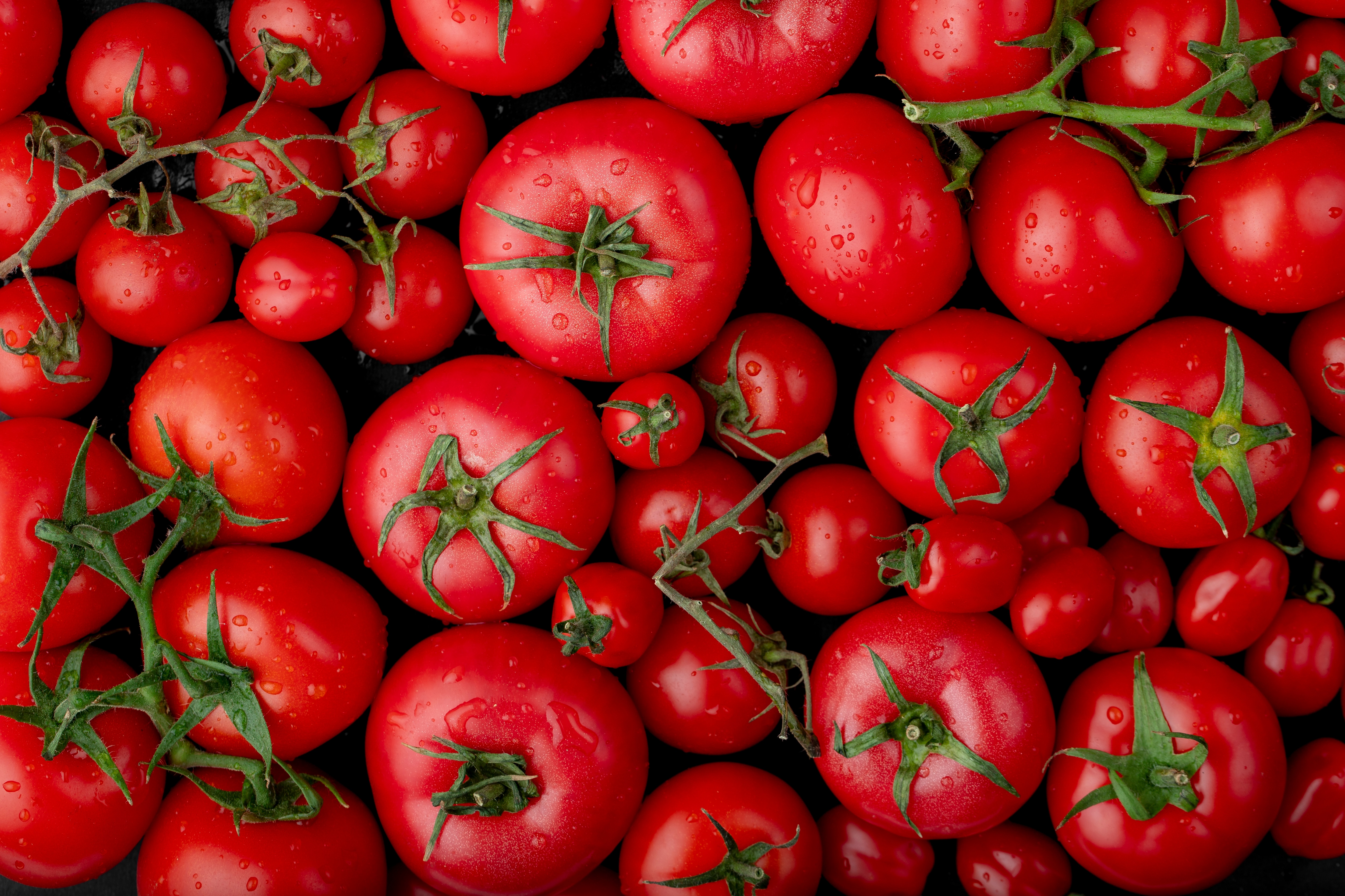 Tomato Puree Runs Out Of Stock On E-Grocery Platforms