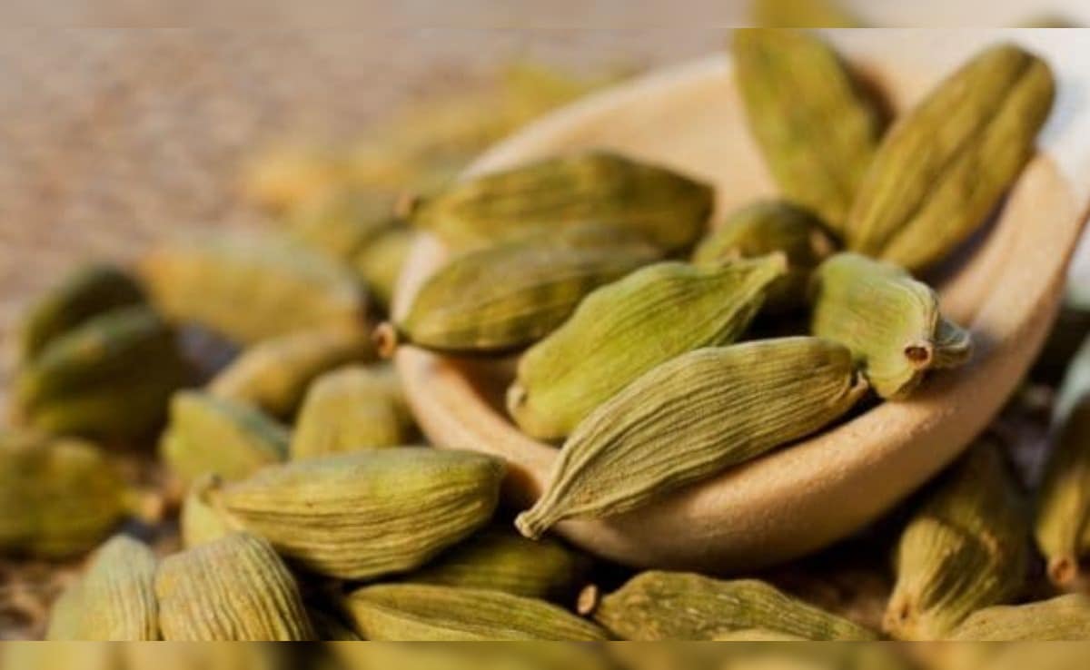 Latest and Breaking News on NDTV