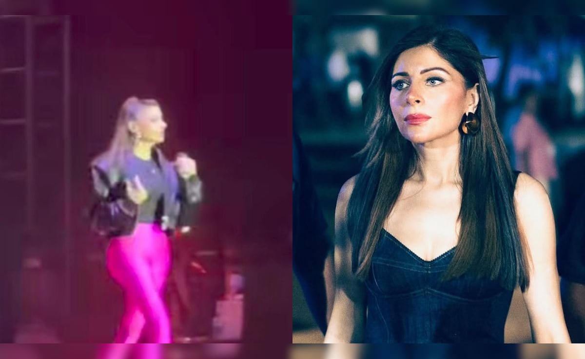 Fan Grabs Kanika Kapoor During Live Concert In Meghalaya In Viral Video, How She Reacted