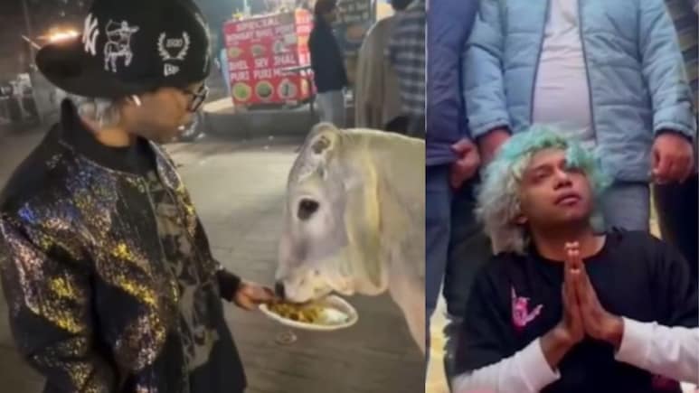 गाय को चिकन मोमोज खिलाने के बाद यूट्यूबर को भीड़ ने पकड़ा, माफी मांगकर क्या बोला