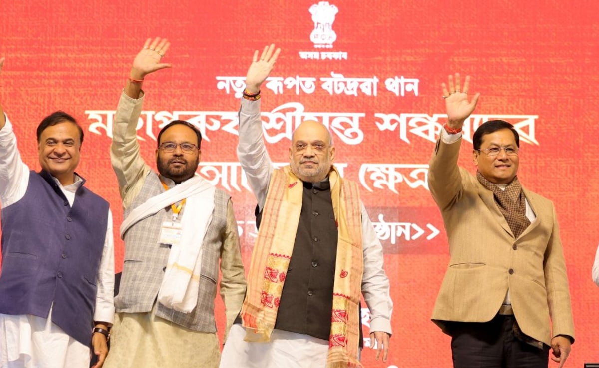 "Vote For BJP, Will Remove Infiltrators": Amit Shah In Assam