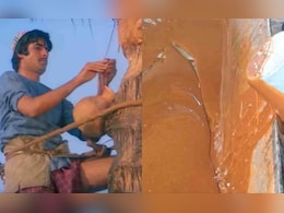 खजूर के पेड़ से अमिताभ की फिल्म 'सौदागर' वाला मीठा गुड़ बनता कैसे है, वीडियो देखिए