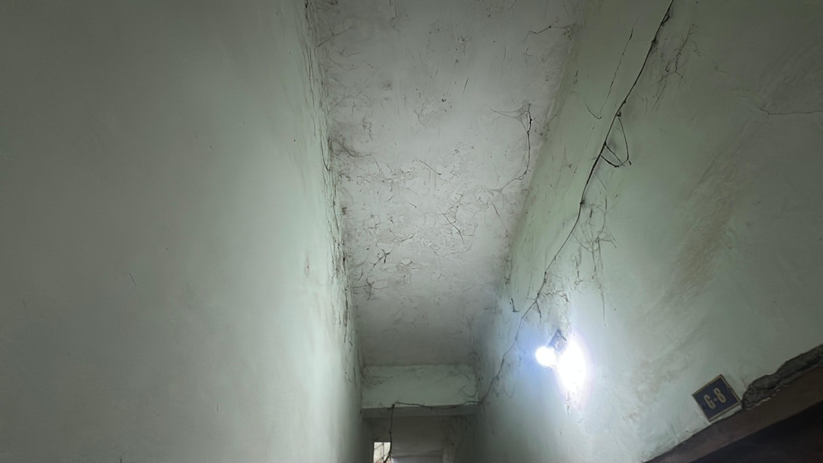 At many institutes, cobwebs are seen within the premises and even on equipment.