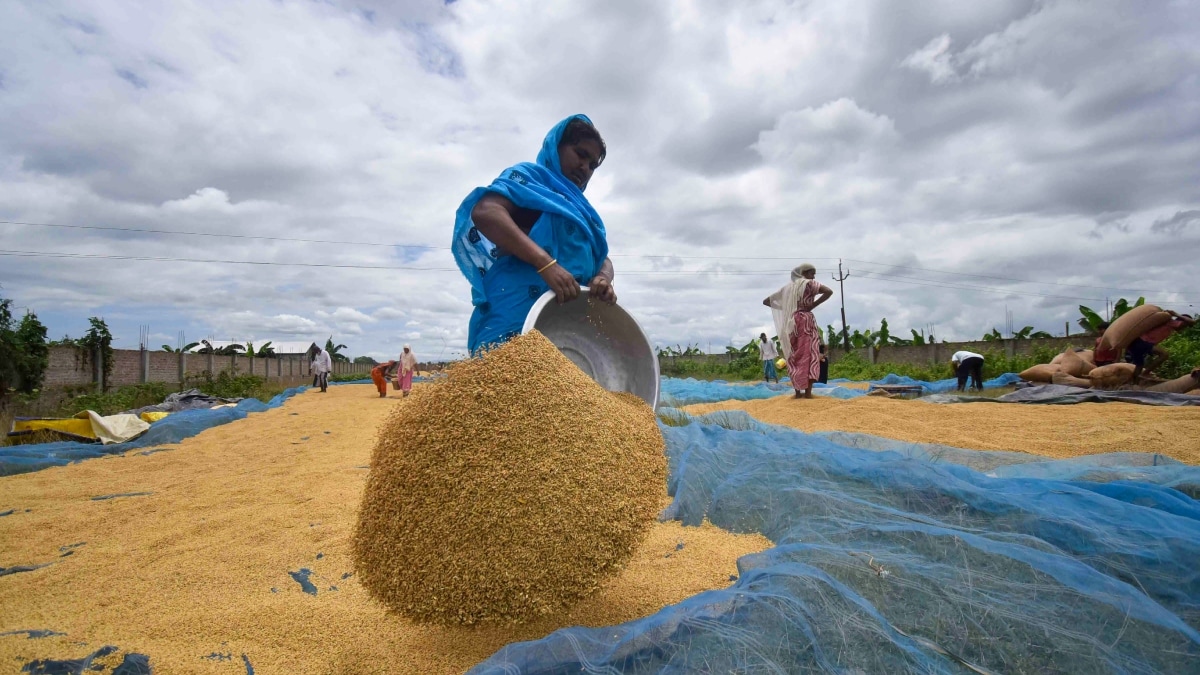 Latest and Breaking News on NDTV Latest and Breaking News on NDTV