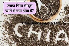 ज्यादा चिया सीड्स खा लें तो क्या होगा? 1 दिन में कितने Chia Seeds खा सकते हैं, डायटीशियन से जानिए