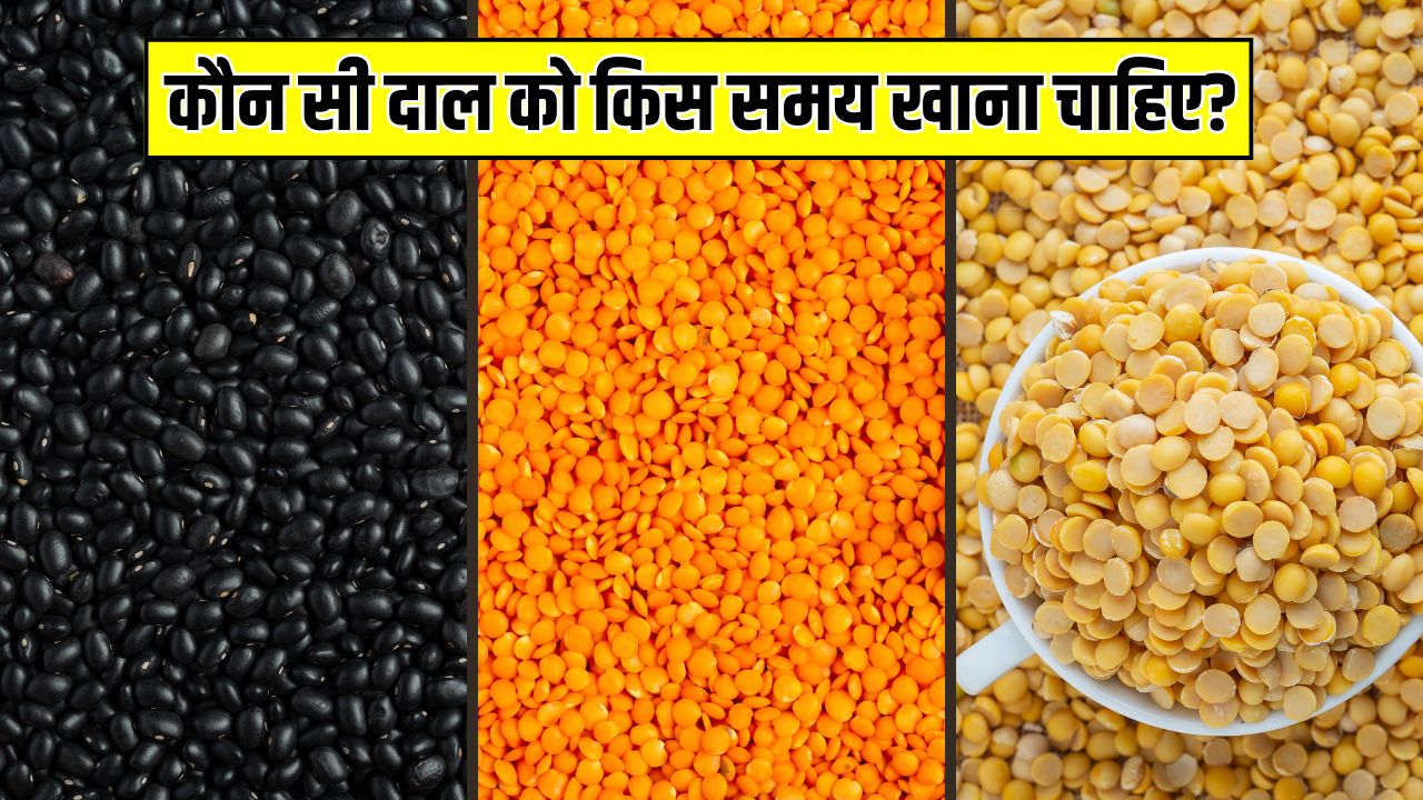अरहर दाल, मूंग दाल, उड़द दाल, चना दाल, मसूर दाल...न्यूट्रिशनिस्ट से जानें कौन सी दाल को किस समय खाना चाहिए