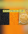 अरहर दाल, मूंग दाल, उड़द दाल, चना दाल, मसूर दाल...न्यूट्रिशनिस्ट से जानें कौन सी दाल को किस समय खाना चाहिए