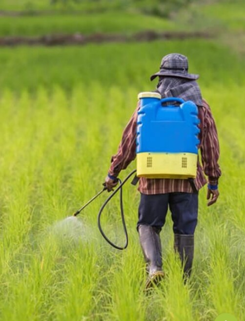 Dharmaj Crop Guard IPO - Outlook, Valuation, Future Strategies, Risks, Financials: KRChoksey