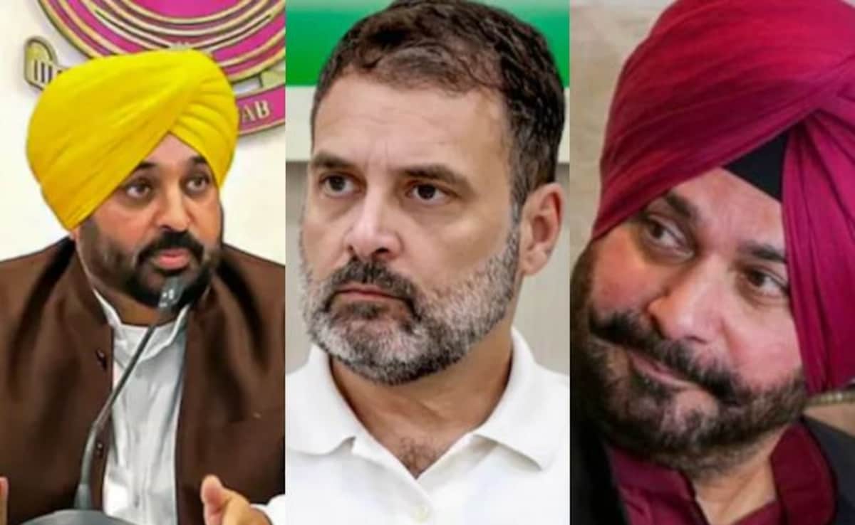 "Show Results First": Bhagwant Mann Jabs Rahul Gandhi, Navjot Sidhu