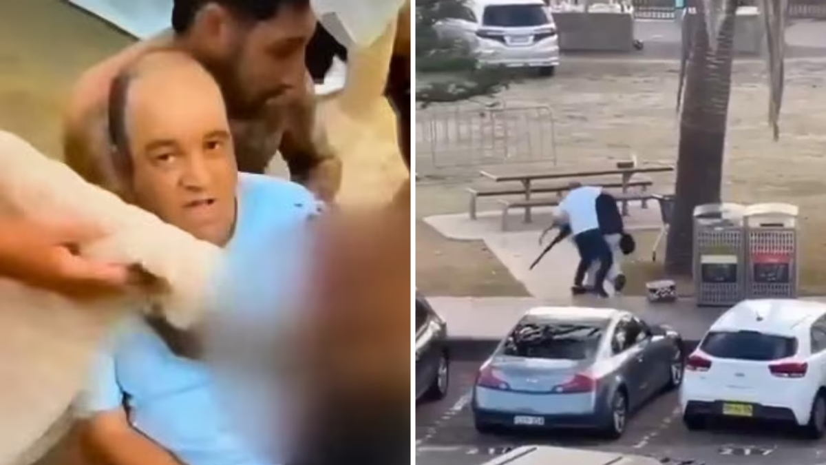 Who Is Ahmed Al Ahmed, The Heroic Bystander Who Disarmed Sydney Shooter