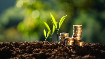 India, Taiwan ETFs See Record Exodus Before Asia Stock Rebound