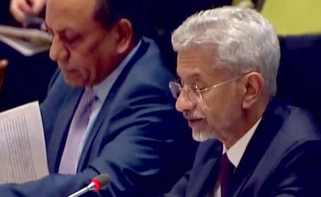 India To Take Up Accessibility To Energy, Food Grains 'Very Strongly' At G20: S Jaishankar