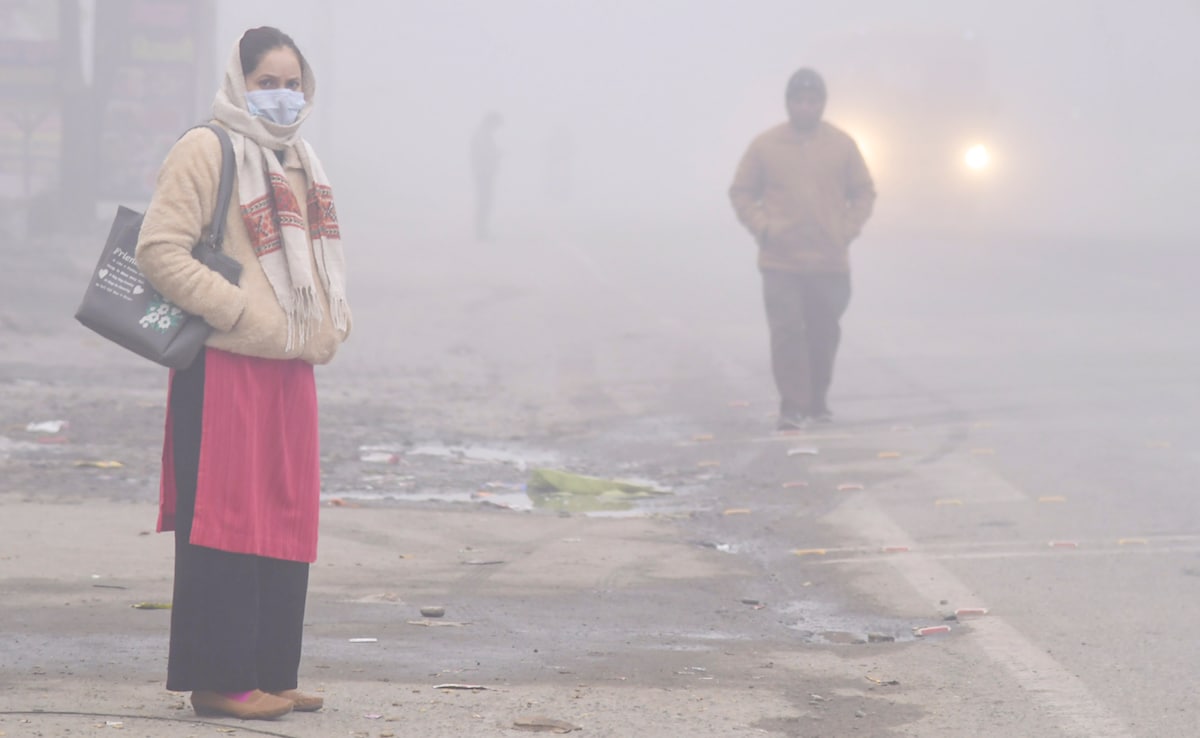 Air Pollution Exposure Linked To Structural Changes In Adolescent Brain Affecting Mood, Memory: Study