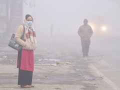 Air Pollution Exposure Linked To Structural Changes In Adolescent Brain Affecting Mood, Memory: Study