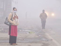 Air Pollution Exposure Linked To Structural Changes In Adolescent Brain Affecting Mood, Memory: Study