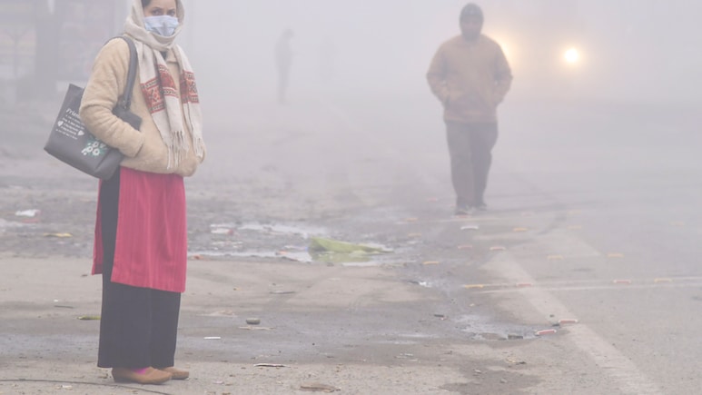 Air Pollution Exposure Linked To Structural Changes In Adolescent Brain Affecting Mood, Memory: Study