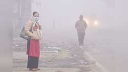 Construction, Traffic, Forest Fires: What's Driving AQI Spike In Uttarakhand