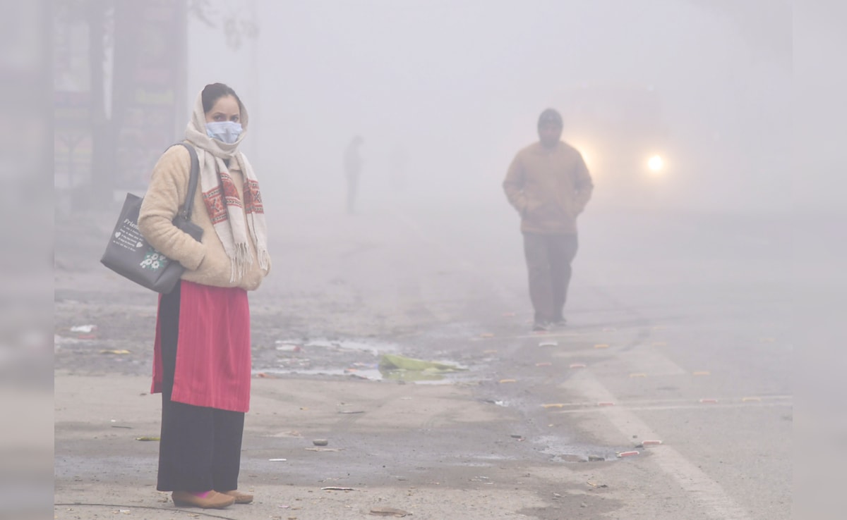 दिल्ली NCR बनने की राह पर उत्तराखंड! देहरादून, ऋषिकेश में हवा खराब, हिमालयी राज्य में बढ़ रहा वायु प्रदूषण दिल्ली NCR बनने की राह पर उत्तराखंड! देहरादून, ऋषिकेश में हवा खराब, हिमालयी राज्य में बढ़ रहा वायु प्रदूषण