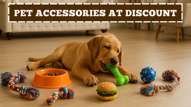 Pet Toys से लेकर Treats तक, इस सेल में सब कुछ मिलेगा आधे से भी कम प्राइस में, मिस न करें ये शानदार डील्स