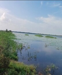 Chhattisgarh First Ramsar Site: छत्तीसगढ़ का पहला रामसर साइट घोषित, क्यों खास है कोपरा जलाशय?