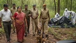 महिला सरपंच ही निकली बाघ शिकारी! घर से मिले नाखून-मांस, खोजी कुत्ते ने खोला 7 लोगों का पूरा राज